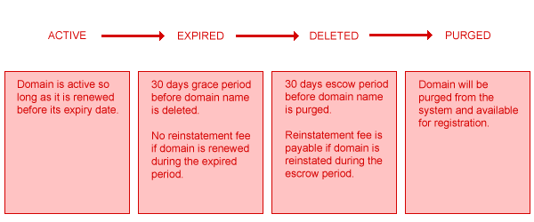 faq_domain_lifecycle